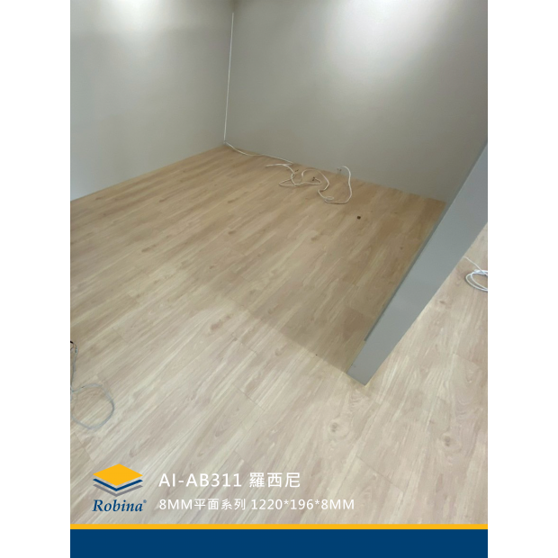 AB311 羅西尼1.png